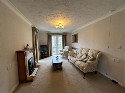 Picture 8